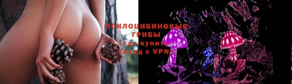дурь Богданович