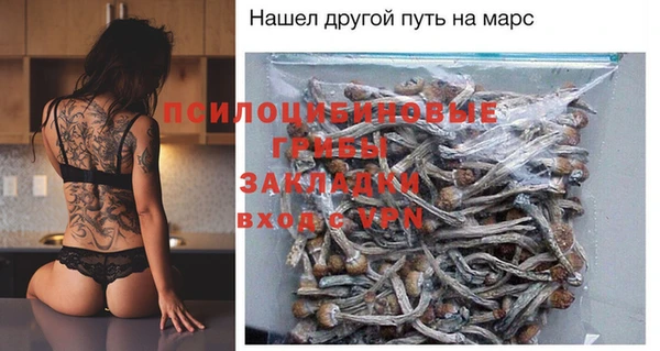 ECSTASY Бугульма