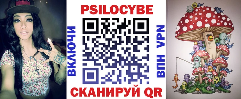 Купить где  Голицыно  Псилоцибиновые грибы Psilocybe 